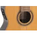 Admira Virtuoso kreiļiem Fishman — 4/4 klasiskā ģitāra Admira Virtuoso kreiļiem Fishman — 4/4 klasiskā ģitāra