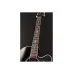 Takamine EF450C-TT-TBB — elektroakustiskā ģitāra Takamine EF450C-TT-TBB — elektroakustiskā ģitāra