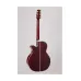 Takamine GN75CE-WR — elektroakustiskā ģitāra Takamine GN75CE-WR — elektroakustiskā ģitāra