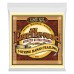 Ernie Ball Earthwood 80/20 Bronze Loop End 5-String Frailing Banjo Strings 10-24 — bandžo stīgas