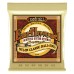 Ernie Ball Earthwood 80/20 Bronze Nylon Ball End Folk/ - Clear & Gold — klasiskās ģitāras stīgas