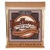 Ernie Ball Custom Light Earthwood Phosphor Bronze 12-String 10-48 — akustiskās ģitāras stīgas