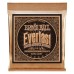 Ernie Ball Extra Light Everlast Coated Phosphor Bronze 10-50 — akustiskās ģitāras stīgas Ernie Ball Extra Light Everlast Coated Phosphor Bronze 10-50 — akustiskās ģitāras stīgas