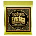 Ernie Ball Extra Light Everlast Coated 80/20 Bronze 10-50 — akustiskās ģitāras stīgas