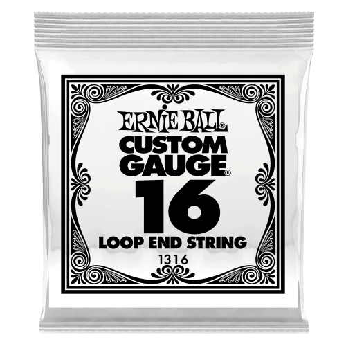 Ernie Ball .016 Loop End Stainless Steel Plain Banjo or Mandolin — bandžo atsevišķa stīga