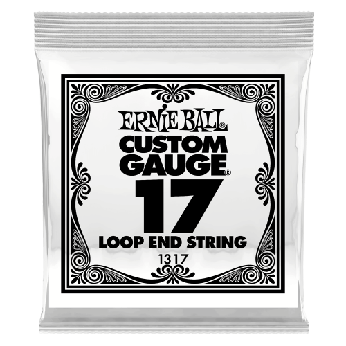 Ernie Ball .017 Loop End Stainless Steel Plain Banjo or Mandolin — bandžo atsevišķa stīga Ernie Ball .017 Loop End Stainless Steel Plain Banjo or Mandolin — bandžo atsevišķa stīga