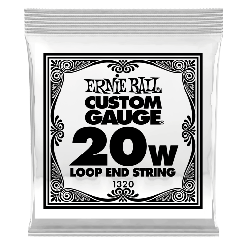 Ernie Ball .020 Loop End Stainless Steel Wound Banjo or Mandolin — banjo single string Ernie Ball .020 Loop End Stainless Steel Wound Banjo or Mandolin — banjo single string