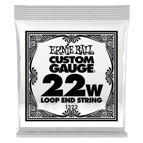 Ernie Ball .022 Loop End Stainless Steel Wound Banjo or Mandolin — bandžo atsevišķa stīga Ernie Ball .022 Loop End Stainless Steel Wound Banjo or Mandolin — bandžo atsevišķa stīga