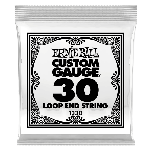 Ernie Ball .030 Loop End Stainless Steel Wound Banjo or Mandolin — bandžo atsevišķa stīga Ernie Ball .030 Loop End Stainless Steel Wound Banjo or Mandolin — bandžo atsevišķa stīga