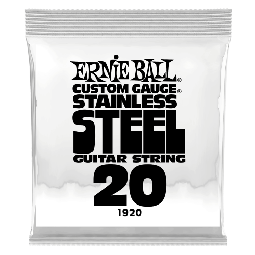 Ernie Ball .020 Stainless Steel Wound — elektriskās ģitāras atsevišķa stīga Ernie Ball .020 Stainless Steel Wound — elektriskās ģitāras atsevišķa stīga