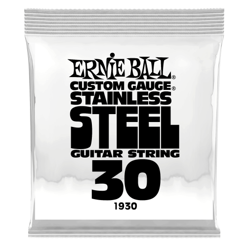 Ernie Ball .030 Stainless Steel Wound — elektriskās ģitāras atsevišķa stīga Ernie Ball .030 Stainless Steel Wound — elektriskās ģitāras atsevišķa stīga