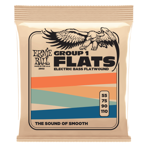 Ernie Ball Group 1 Stainless Steel Flatwound 55-110 — basģitāras stīgas