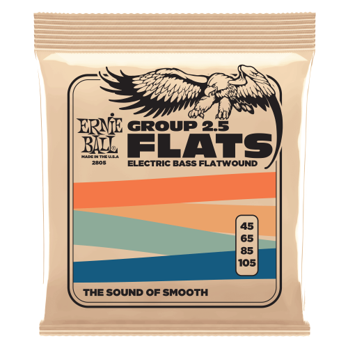 Ernie Ball Group 2.5 Stainless Steel Flatwound 45-105 — basģitāras stīgas