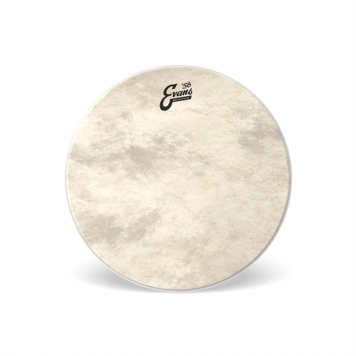 Evans EQ4 Calftone 24″ — basbungas plēve Evans EQ4 Calftone 24″ — basbungas plēve