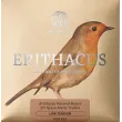 Zems 33