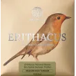 Vidēji augsts 34