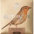Zems 33