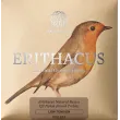 Zems 33
