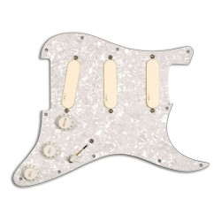 EMG DG20 David Gilmour Pickguard komplekts