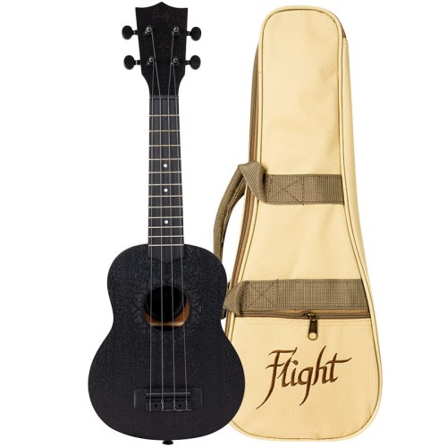 Flight NUS310 Blackbird