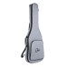 GTRS Standard 801 Gold inteliģentā ģitāra GTRS Standard 801 Gold inteliģentā ģitāra