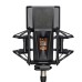 Lewitt PURE TUBE Studio Set vokālais lampu mikrofons Lewitt PURE TUBE Studio Set vokālais lampu mikrofons
