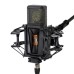 Lewitt PURE TUBE Studio Set vokālais lampu mikrofons Lewitt PURE TUBE Studio Set vokālais lampu mikrofons