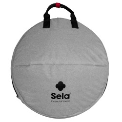 Slela pelēka soma hangiem Slela pelēka soma hangiem