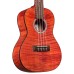Cordoba 15CFM Rose Red ukulele