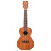 Cordoba 15CM koncert ukulele