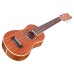 Cordoba 15SM Soprano ukulele