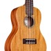 Cordoba 20CM Concert ukulele