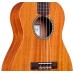 Cordoba 20BM Baritone ukulele