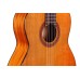 Cordoba Dolce (7/8 Size) klasiskā ģitāra Cordoba Dolce (7/8 Size) klasiskā ģitāra