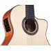 Cordoba Fusion 14 Maple ģitāra Cordoba Fusion 14 Maple ģitāra