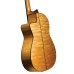 Cordoba Fusion 12 Maple ģitāra Cordoba Fusion 12 Maple ģitāra