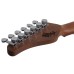Schecter Nick Johnston PT Atomic ink ģitāra