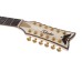 Schecter Wayne Hussey Corsair-12 IVY ģitāra Schecter Wayne Hussey Corsair-12 IVY ģitāra