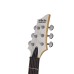 Schecter C-6 Deluxe SWHT ģitāra