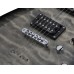 Schecter C-6 Plus CB ģitāra