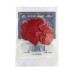 Dunlop 47R2N JAZZ 2 red nylon picks (24-BAG) mediatoru paka Dunlop 47R2N JAZZ 2 red nylon picks (24-BAG) mediatoru paka