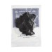 Dunlop 47R3S JAZZ 3 black stiffo picks (24-BAG) mediatoru paka Dunlop 47R3S JAZZ 3 black stiffo picks (24-BAG) mediatoru paka