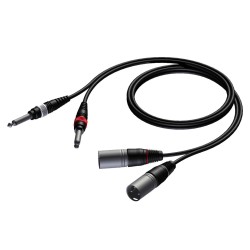 Procab 2 x XLR male - 2 x 6.3 mm Jack male mono 1,5 meter Procab 2 x XLR male - 2 x 6.3 mm Jack male mono 1,5 meter
