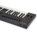 Nektar Impact LX49+, 49 Key USB midi klaviatūra