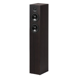 Pro-Ject Speaker Box 10 DS2 grīdas skaļruņi (pāris) — Eikalipts