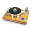 Spīdīga olīvkoks
