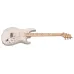 PRS John Mayer Silver Sky Maple Silver Frost elektriskā ģitāra PRS John Mayer Silver Sky Maple Silver Frost elektriskā ģitāra