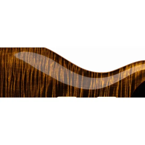PRS Custom 24 - Black Gold elektriskā ģitāra PRS Custom 24 - Black Gold elektriskā ģitāra