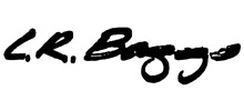 LR Baggs