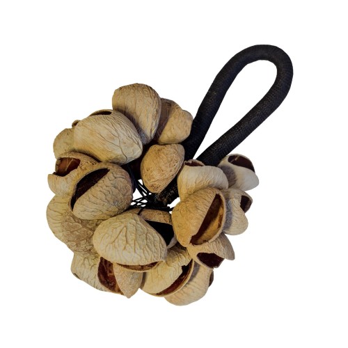Terré Pangi Hand — rokas šeikeris